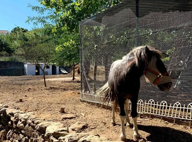 Maison d'hôtes Quinta Do Vale - Natureza, Piscina E Praia! Carvoeira