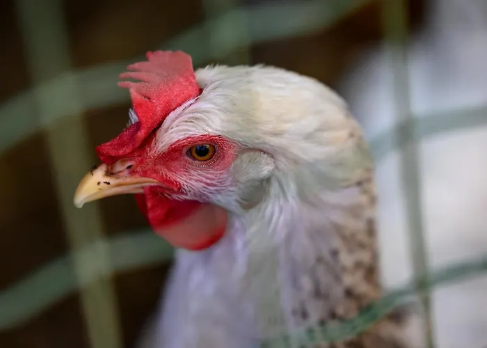 Quinta Do Vale - Natureza, Piscina E Praia! 3*